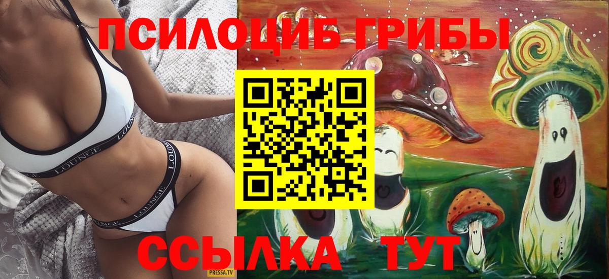 сколько стоит  Вход с VPN  Губкин  Галлюциногенные грибы мицелий 