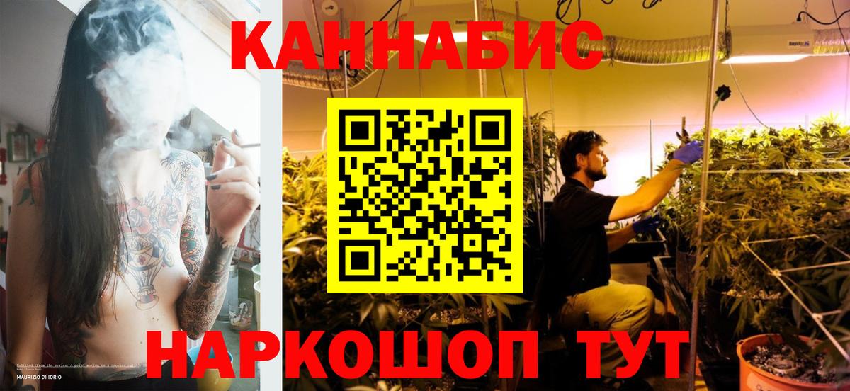 Бошки Шишки Ganja  Вход с VPN  Марихуана сатива  Марихуана марихуана  Губкин  Бошки марихуана индика 